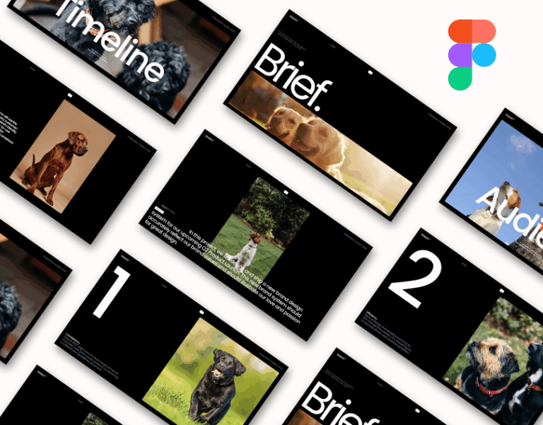 Professional Figma Presentation Template